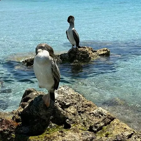 Relax A Pochi Passi Dal Mare E Dai Fenicotteri Quartu Sant'Elena